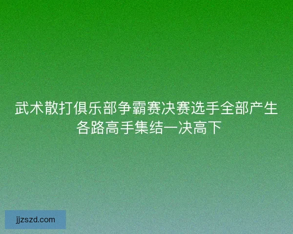 武术散打俱乐部争霸赛决赛选手全部产生 各路高手集结一决高下