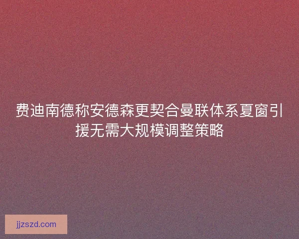 费迪南德称安德森更契合曼联体系夏窗引援无需大规模调整策略